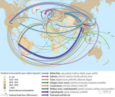 2018年中國海鮮進(jìn)口激增44%,中國市場前景引全球矚目